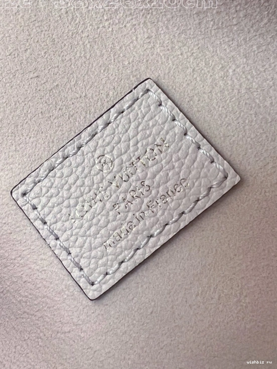 WIS LOOP LOUIS VUITTON HOBO 0820